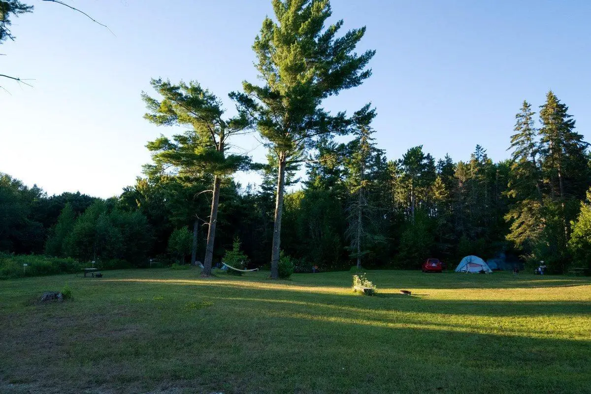 Upper River Rd Boondocking in Brethren, MI