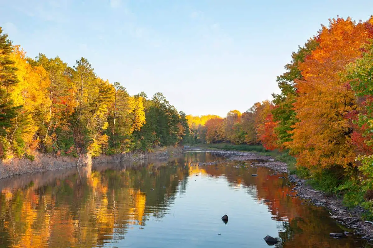Whelan Lake Boondocking in Custer, MI