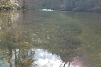 13. Citico Creek Boondocking in Tellico Plains, TN Citico Creek Boondocking in Tellico Plains, TN