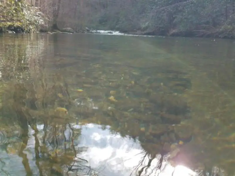 Citico Creek Boondocking in Tellico Plains, TN