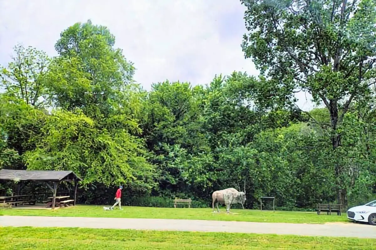 Horse Cave DOT Rest Area In Horse Cave, Kentucky