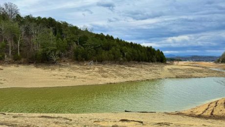Douglas Lake Boondocking in Chestnut Hill, TN