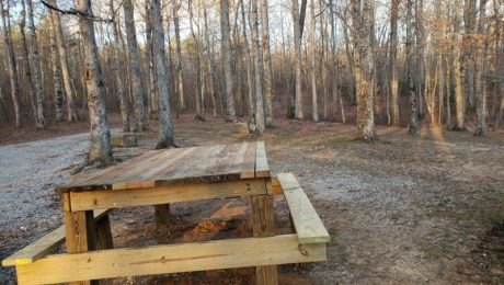 Franklin State Forest Boondocking in Saint Andrews, TN