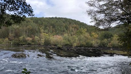 Gee Creek Rd Boondocking in Reliance, TN