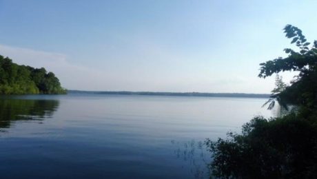 Ginger Bay Permit Campground in Tennessee