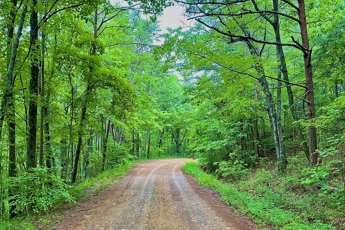 Cherokee National Forest Boondocking