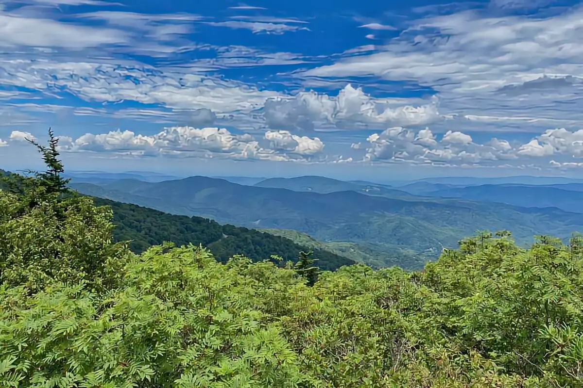 Cherokee National Forest Boondocking