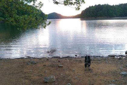 33. Jacobs Creek Campground in Bristol, TN Jacobs Creek Campground in Bristol, TN