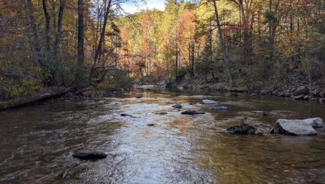 Jake Best Campground in Tellico Plains, TN