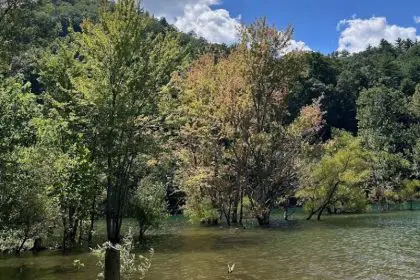39. Little Stoney Creek Boondocking in Hampton, TN Little Stoney Creek Boondocking in Hampton, TN
