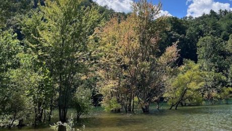 Little Stoney Creek Boondocking in Hampton, TN