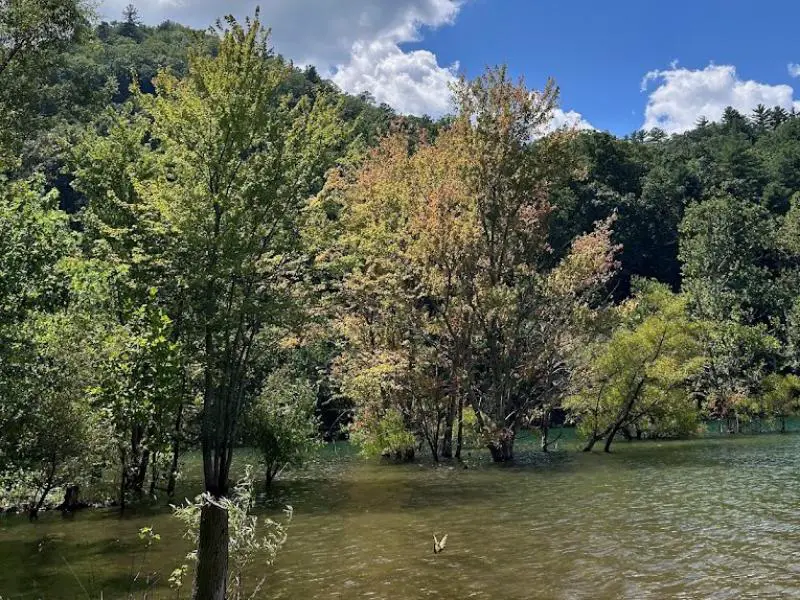 Little Stoney Creek Boondocking in Hampton, TN