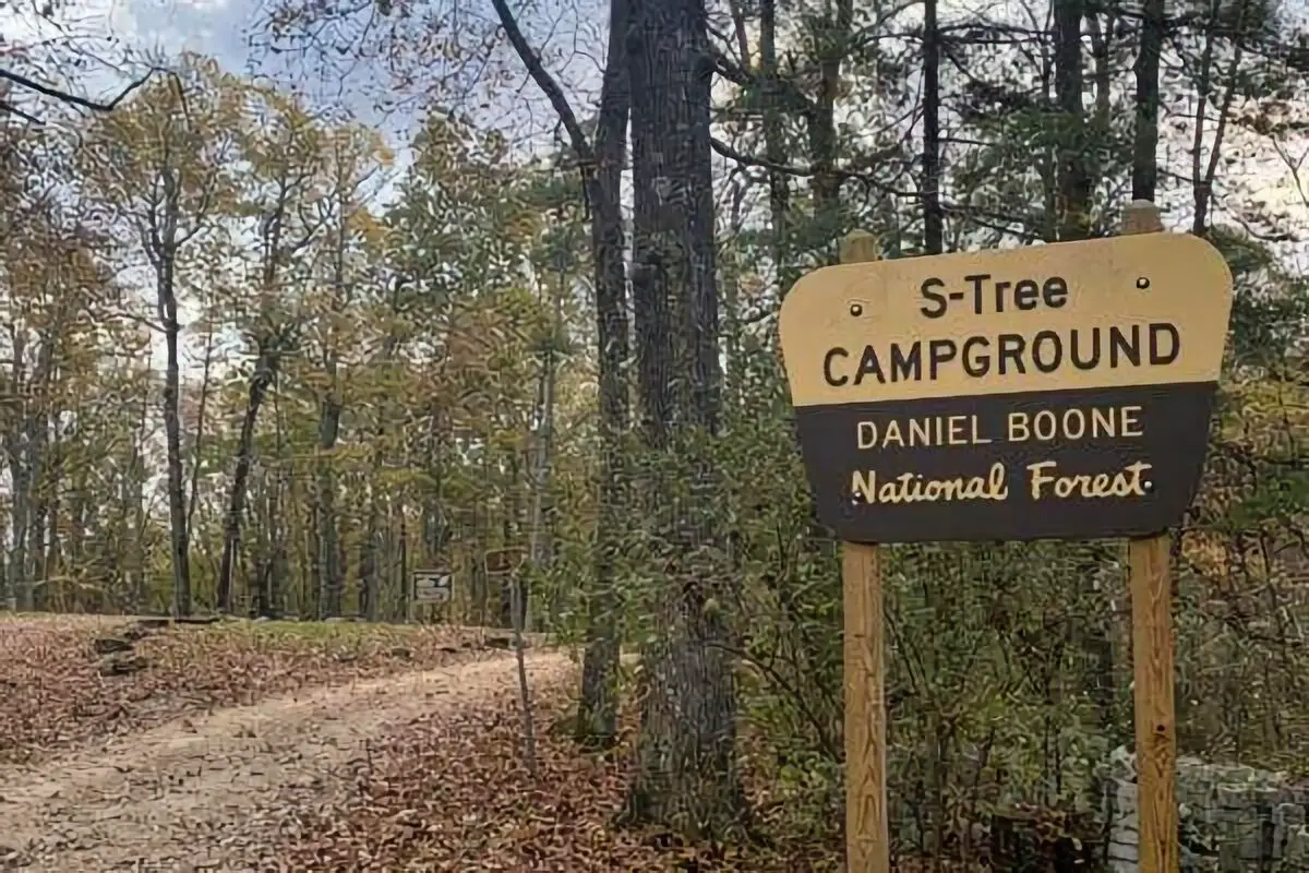 S Tree Boondocking In New Zion, Kentucky Kentucky Free Campsite Locations