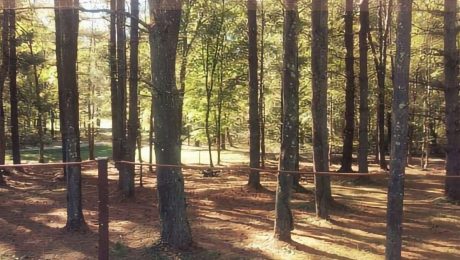 Williams Campground In Nelsonville, OH