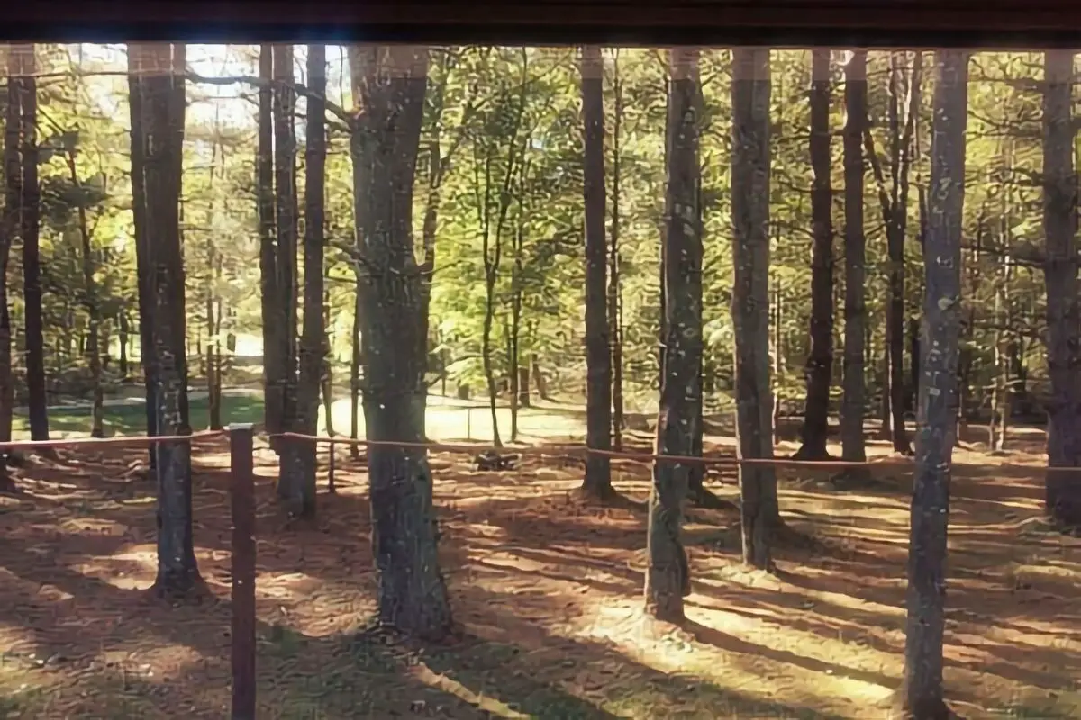 Williams Campground In Nelsonville, OH
