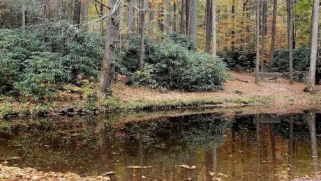 Paint Creek Corridor Boondocking in Greeneville, TN
