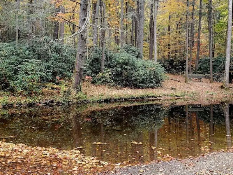 Paint Creek Corridor Boondocking in Greeneville, TN