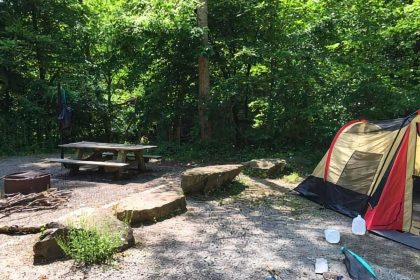 5. Bell Farm Horse Boondocking In Stearns, Kentucky Bell Farm Horse Boondocking In Stearns, Kentucky