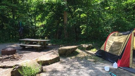 Bell Farm Horse Boondocking In Stearns, Kentucky