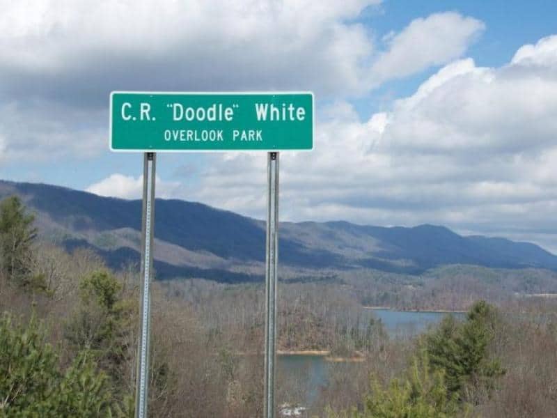 Doodle White Overlook Boondocking in Hampton, TN