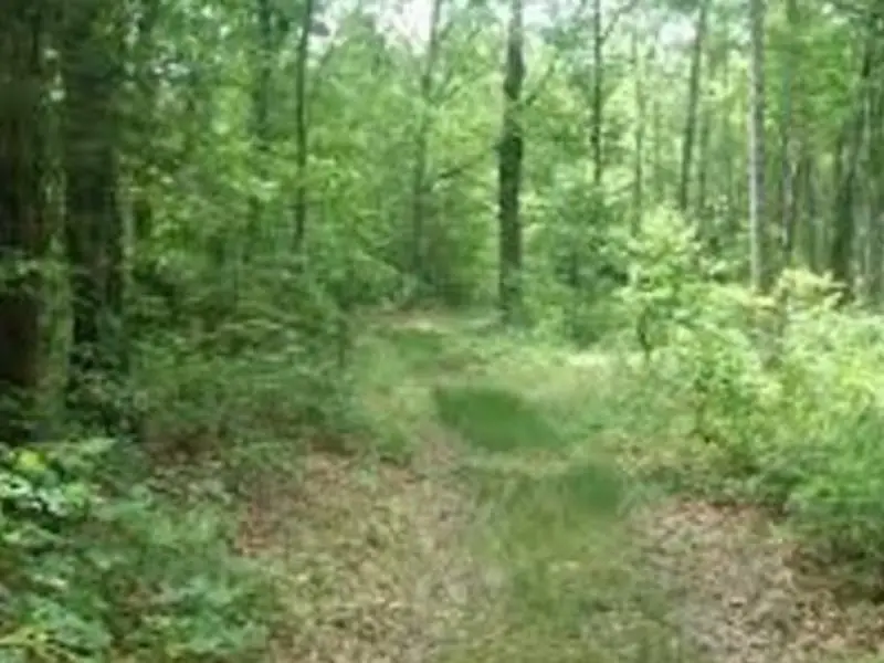 Yanahli East Boondocking in Columbia, TN