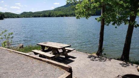 Cardens Bluff Campground in Hampton, TN