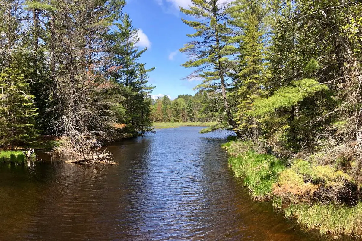 Hiawatha National Forest Boondocking