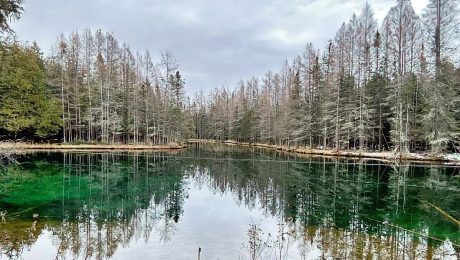 Kitch-iti-kipi Boondocking