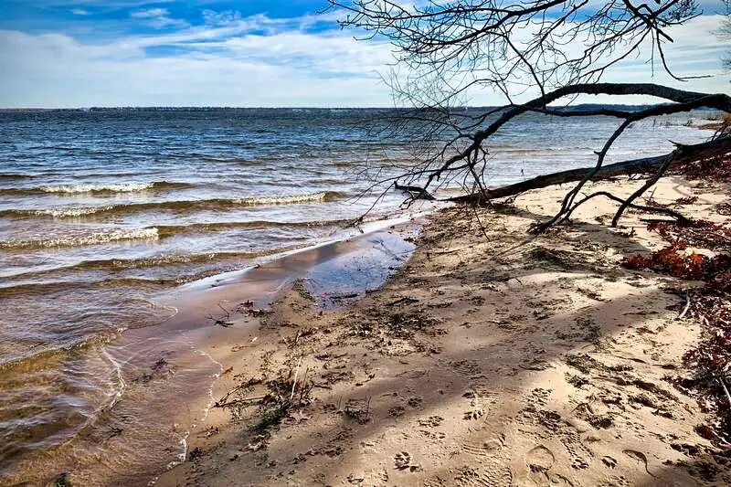 Michigan Dispersed Camping