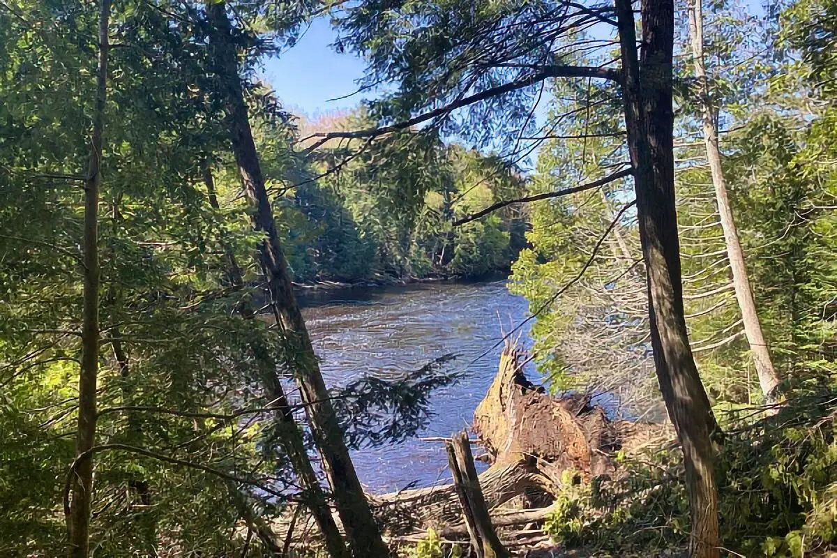 The Michigan Up Boondocking
