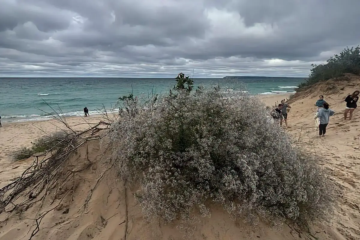 Secret Michgan Beaches to Visit