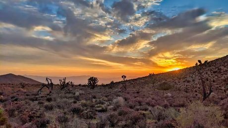 Boondocking NE Pahrump In Enterprise, NV