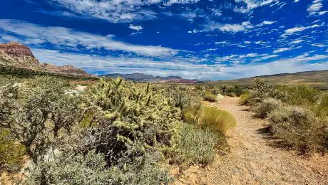 Alamo BLM Boondocking In Alamo, Nevada
