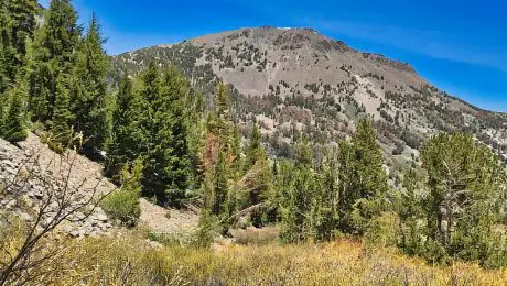 Antelope Spring Boondocking In Lovelock, Nevada