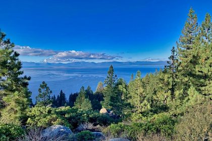 a view of a forest and the ocean from a hill Kalamazoo Boondocking In Ely, Nevada