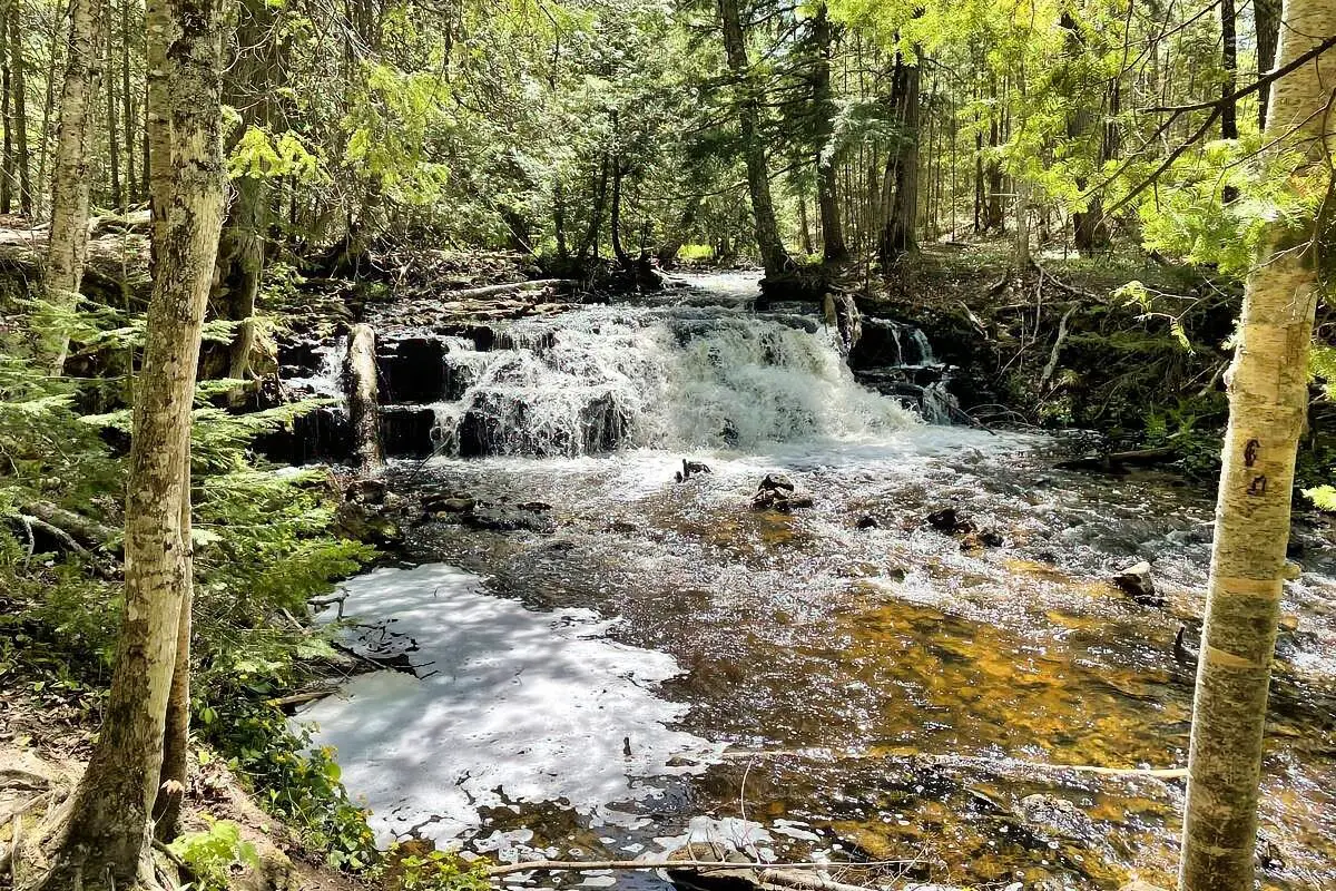 Dispersed Camping in Michigan