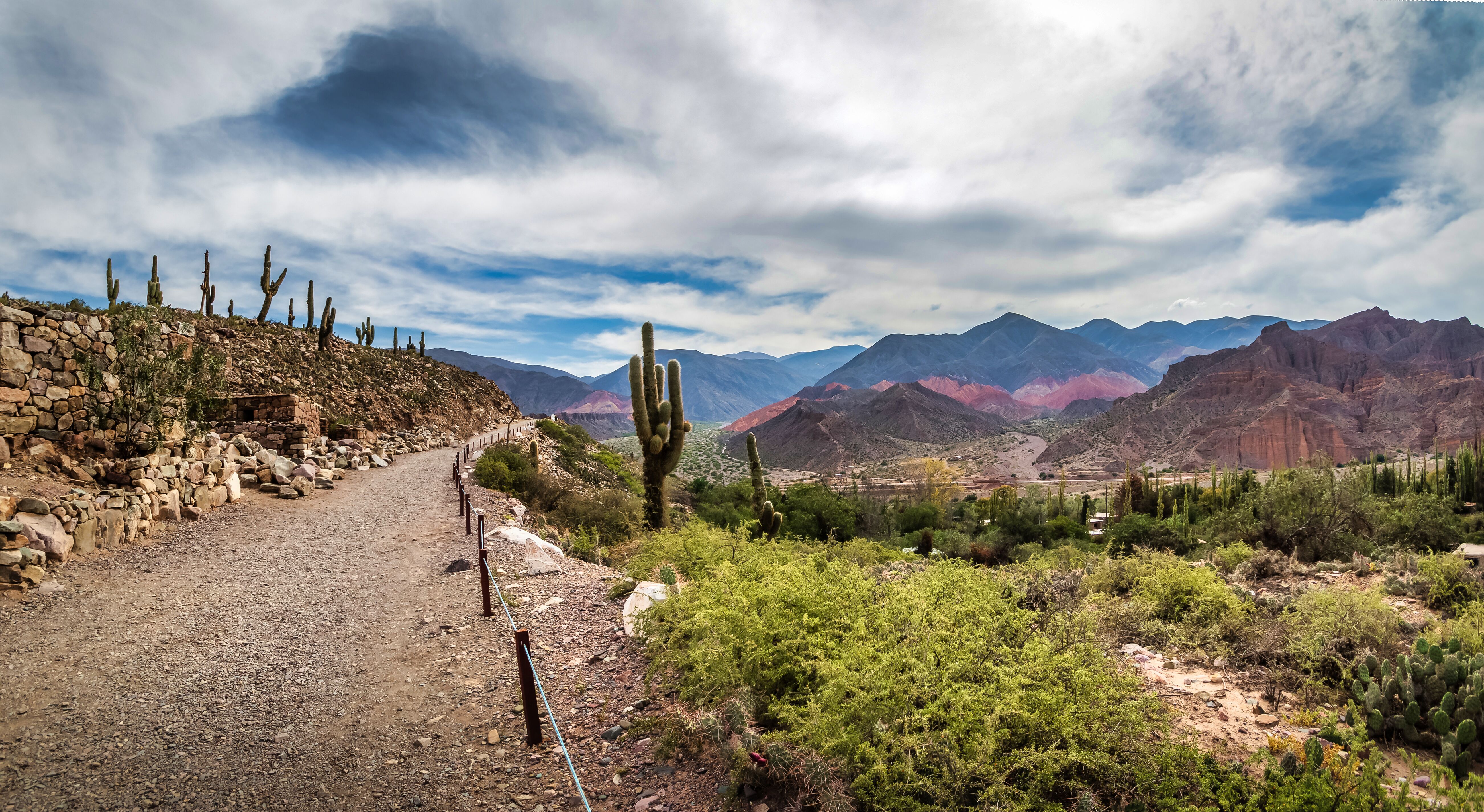 a dirt road with cactus and mountains in the background. Free Camping in Tucson Arizona