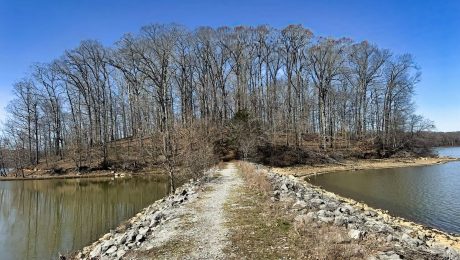 Land Between the Lakes RA Kentucky Free Camping Locations