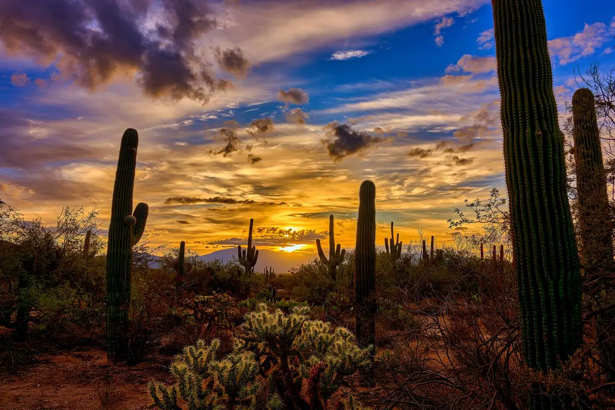 Places to See in Arizona