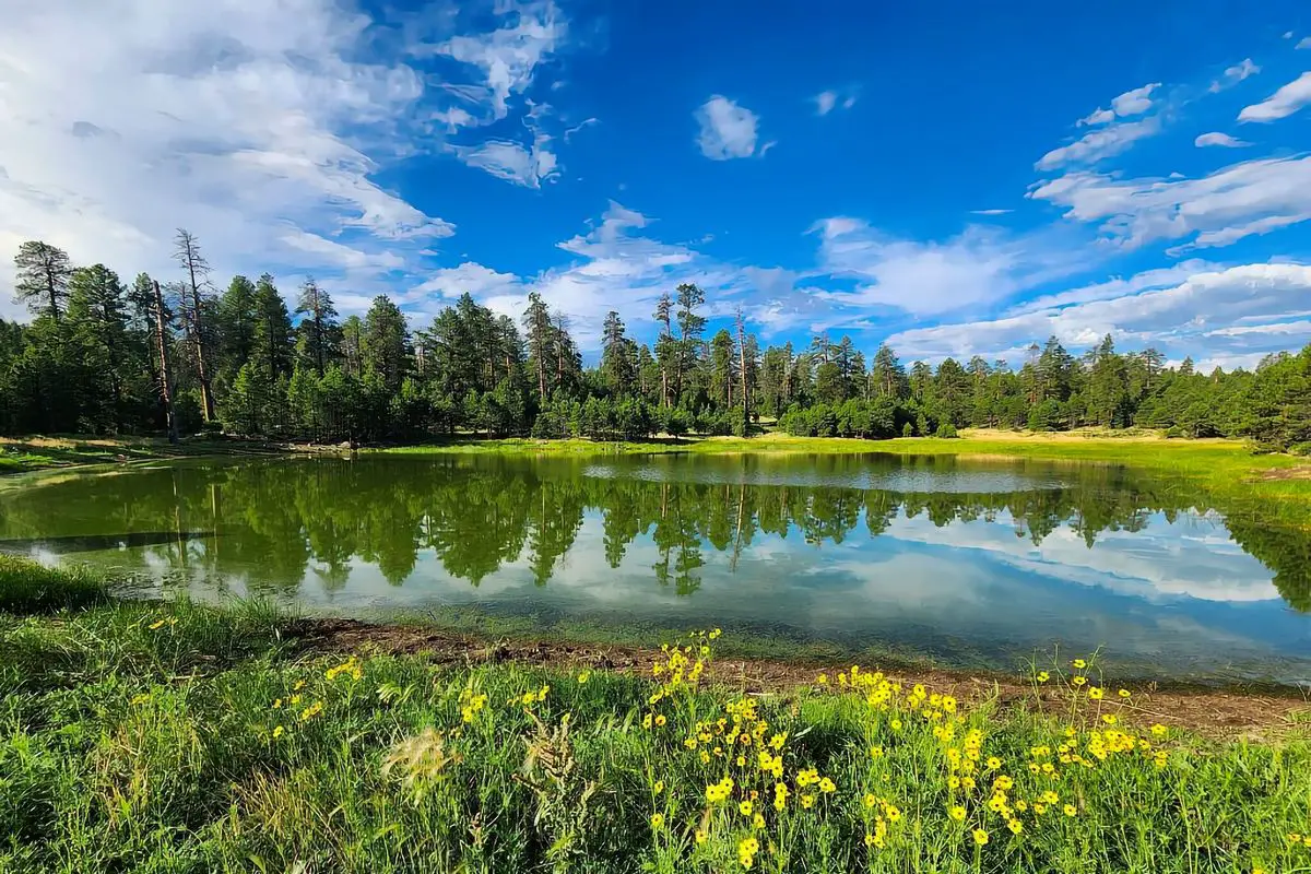 free camping in flagstaff Airzona