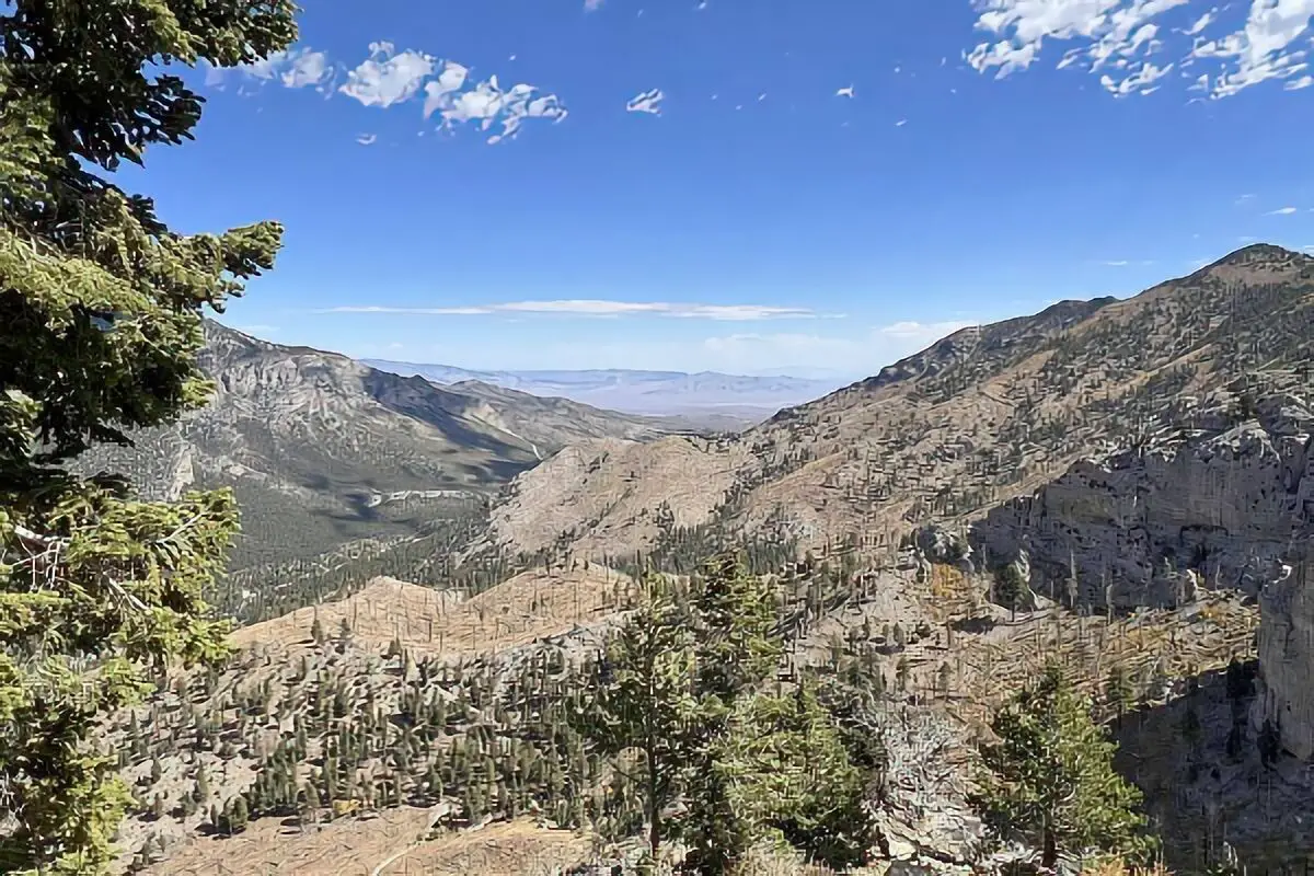 Humboldt-Toiyabe dispersed camping