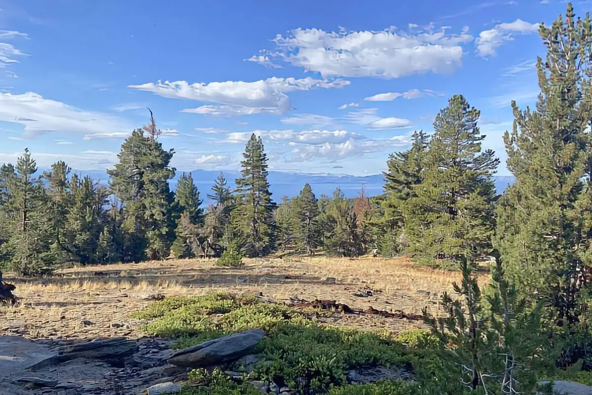 Humboldt-Toiyabe dispersed camping