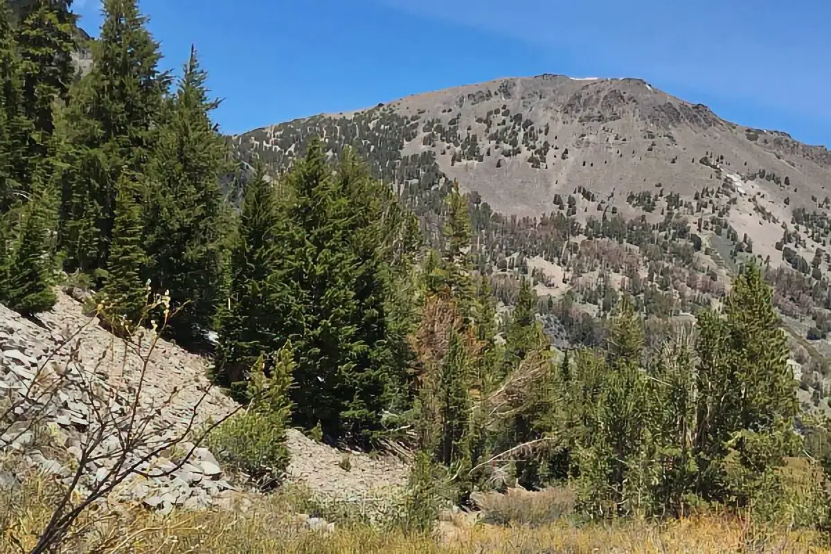 Nevada BLM Camping Map